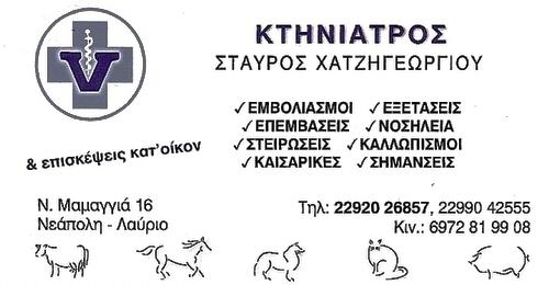 Σταύρος Χατζηγεωργίου