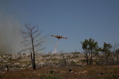 Σε ύφεση η πυρκαγιά στη Κερατέα - Έφτασαν στις αυλές οι φλόγες